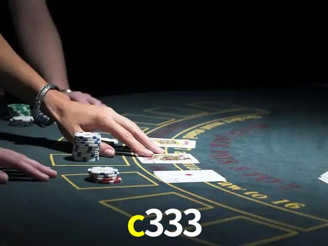 c333 Segurança Logo 2